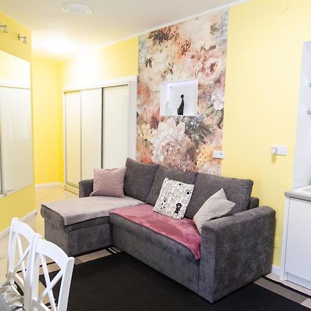 Apartament Przy Rynku Ostrowiec Świętokrzyski エクステリア 写真